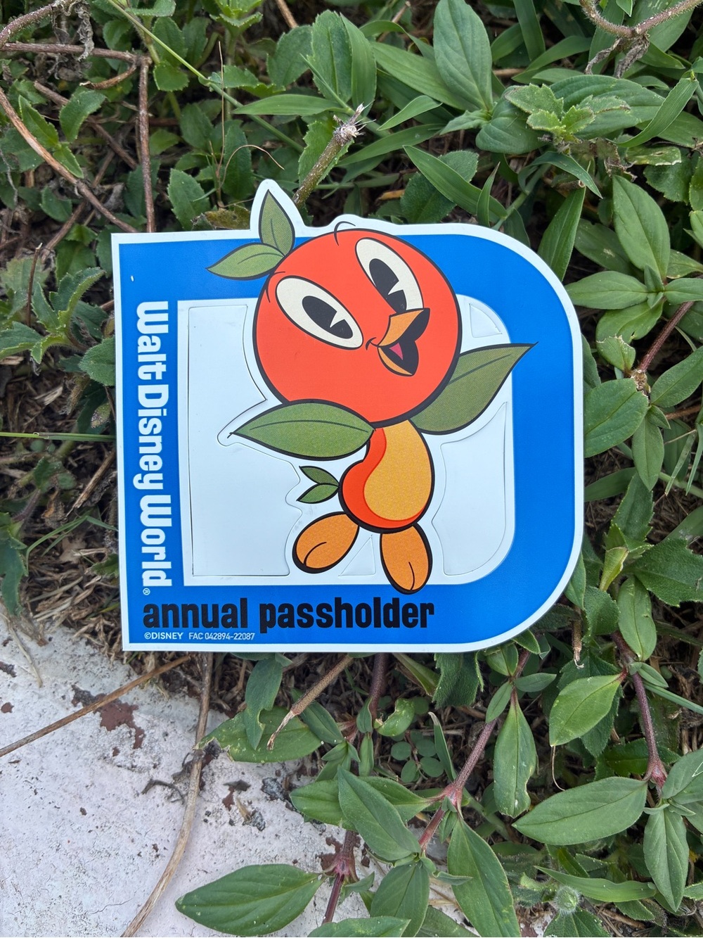 Orange Bird Annual Passholder car magnet